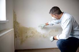 Why You Should Choose Our Mold Remediation Services in Crest, CA